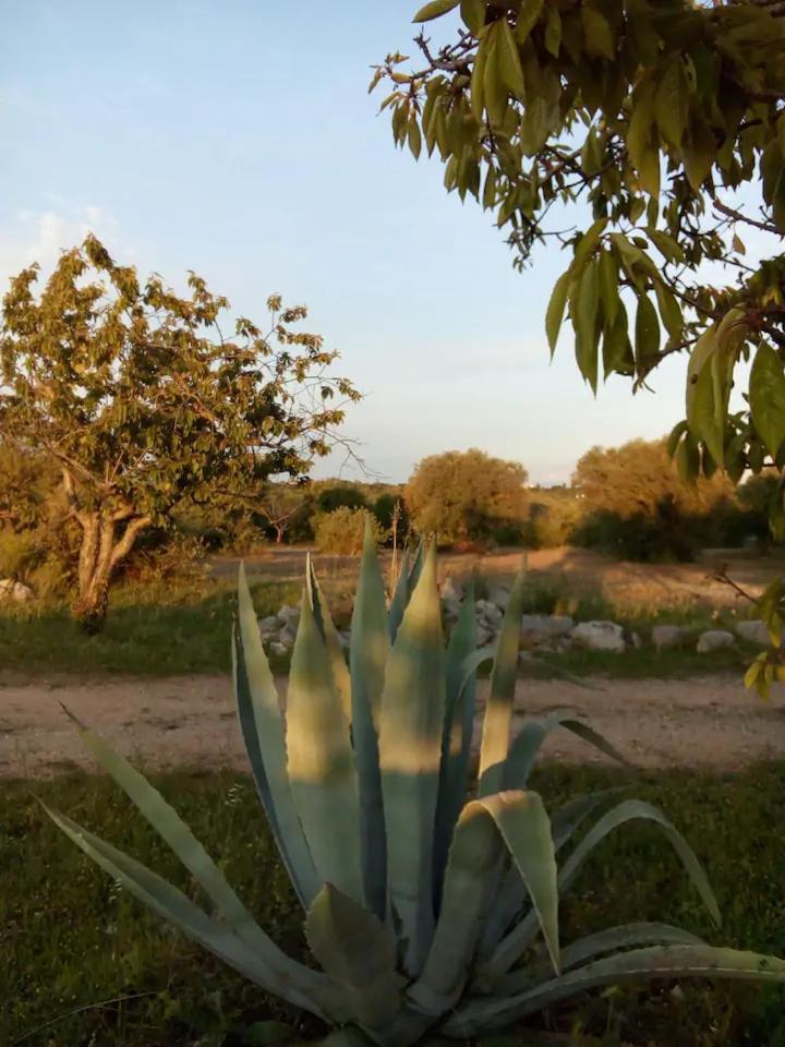 Pensjonat Masseria Fra Diavolo Castellana Grotte Zewnętrze zdjęcie