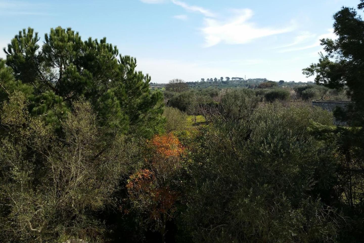 Pensjonat Masseria Fra Diavolo Castellana Grotte Zewnętrze zdjęcie