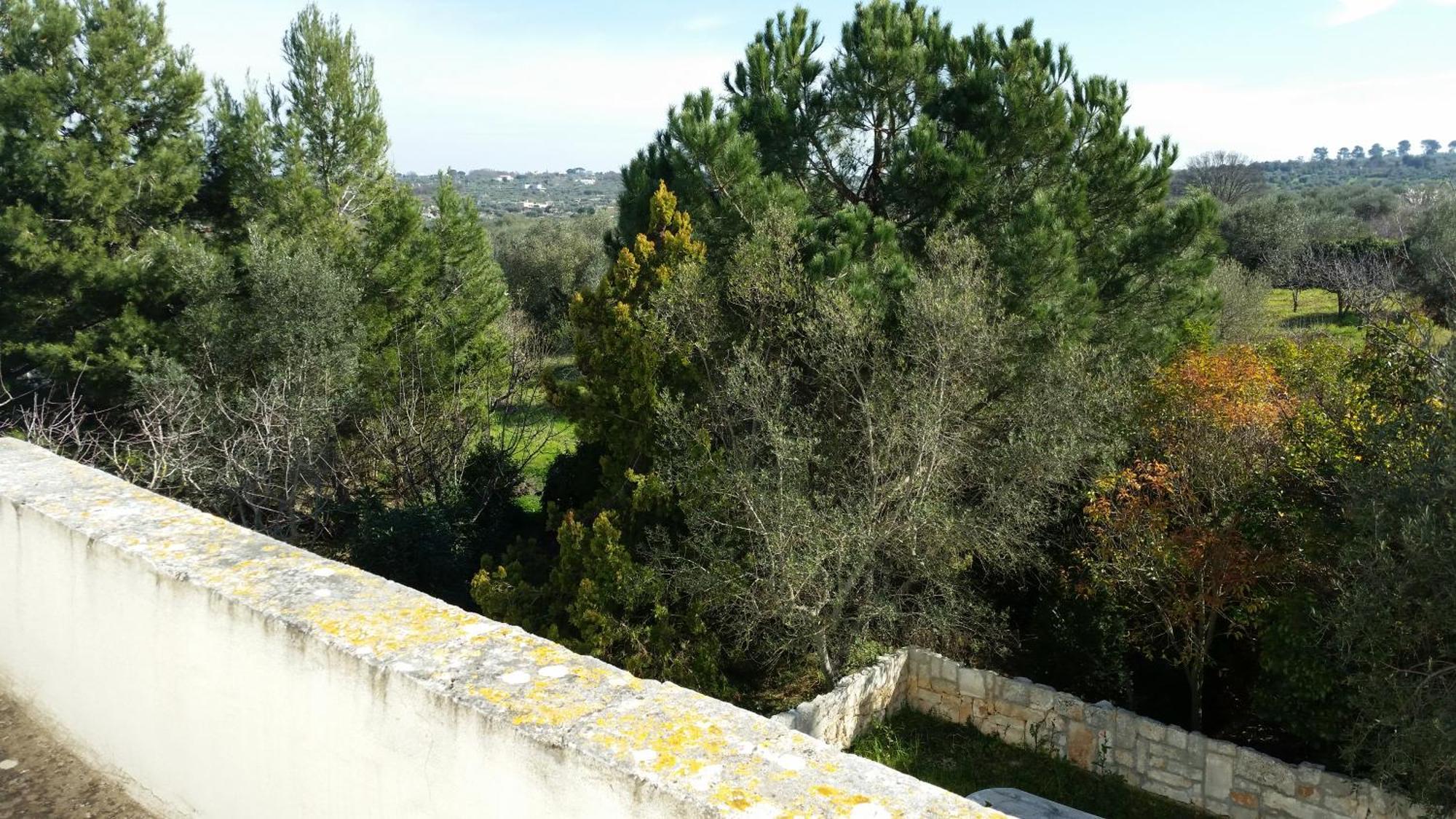 Pensjonat Masseria Fra Diavolo Castellana Grotte Zewnętrze zdjęcie